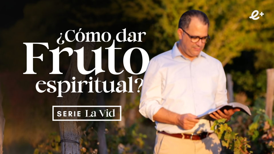 Conectados a la VID VERDADERA